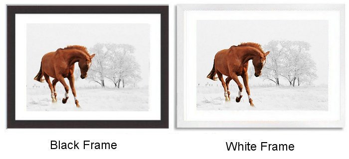 Horse Playing In The Snow Framed Print